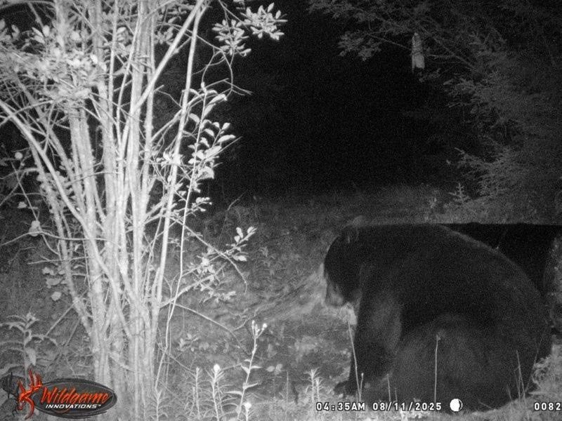 Hunt - photo 7