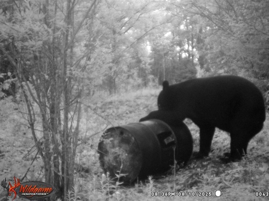Hunt - photo 8