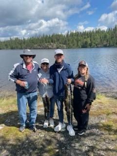 Trip catch - photo 15