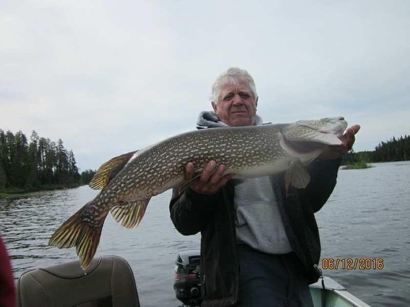 Walleye fishing on the Woman River Chain