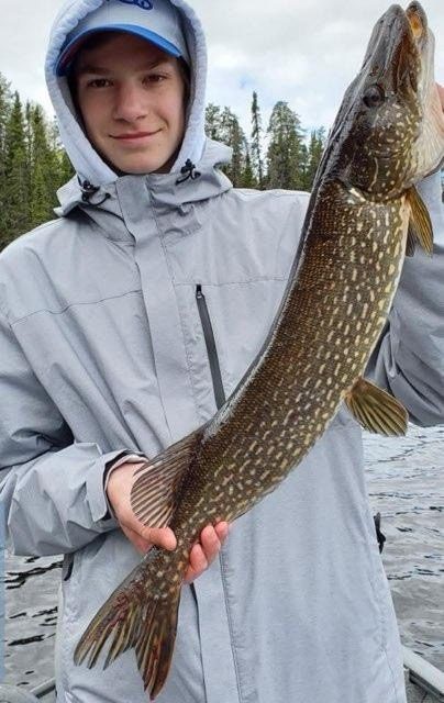 Trip catch - photo 59