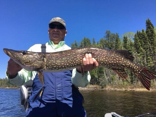 Trip catch - photo 63