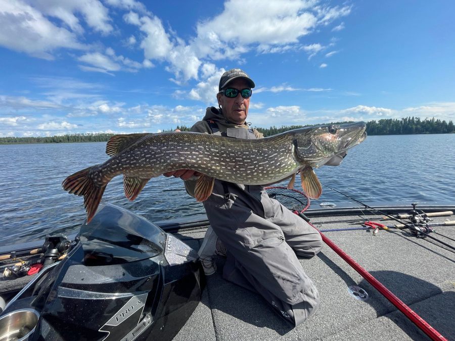 Big northern pike boated on the Woman River Chain