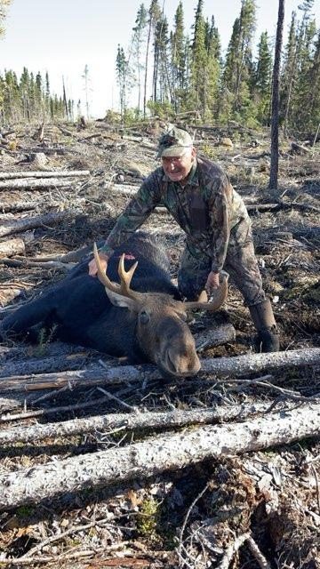 Moose harvest at Canada North Lodge. Moose at the lake&rsquo;s edge