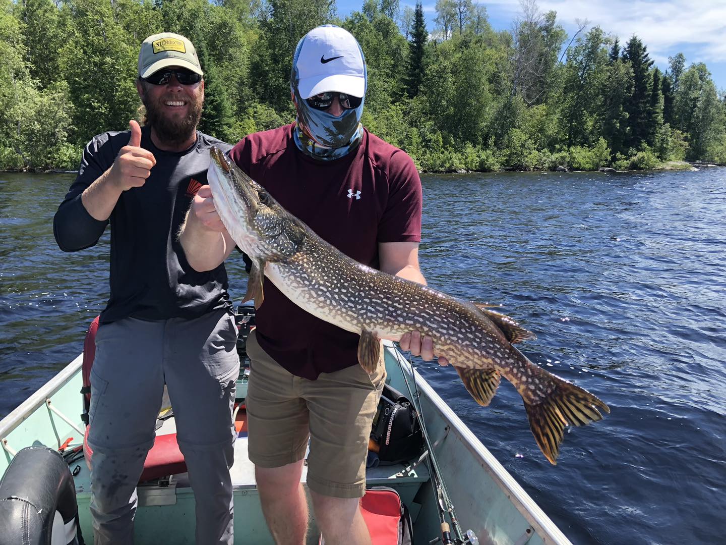 Trophy northern pike landed on the chain