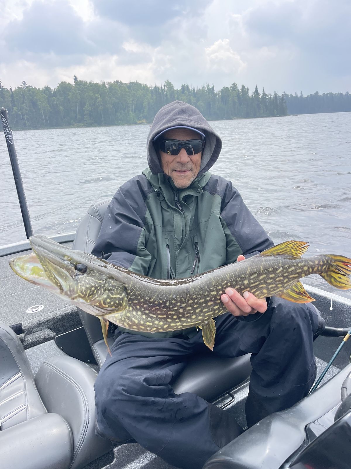 Northern pike from the Woman River Chain